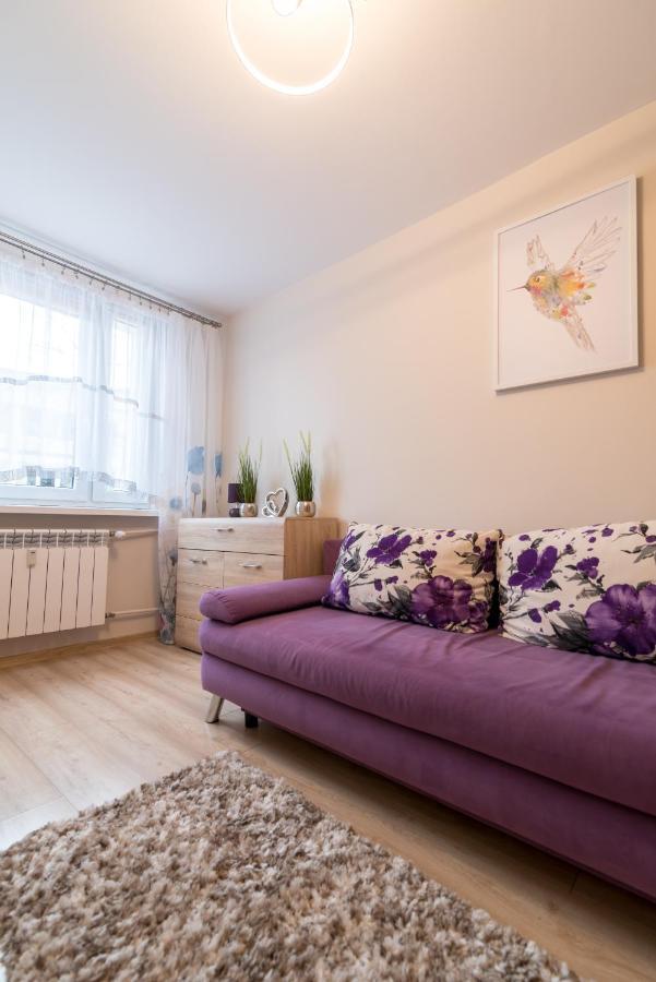 Cichy Zakatek Apartment ซาโกปาเน ภายนอก รูปภาพ